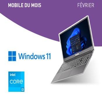 Promotion PC du mois (01/02/2024 - 29/02/2024)