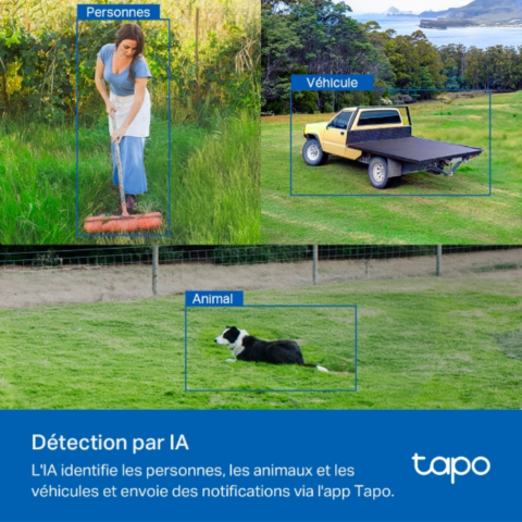 Tapo TC40GW - Caméra 4G LTE extérieure panoramique et inclinable